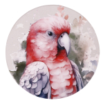 Native Blooms Galah Ceramic Coaster