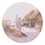 Palm Cove Beach Path Ceramic Coaster