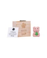 Luck Pocket Promise