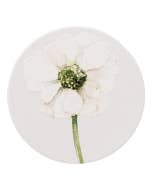 Greenhouse White Flower Ceramic Coaster