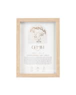 Mystique Framed Print Gemini