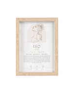 Mystique Framed Print Leo