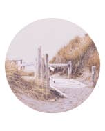 Palm Cove Beach Path Ceramic Coaster